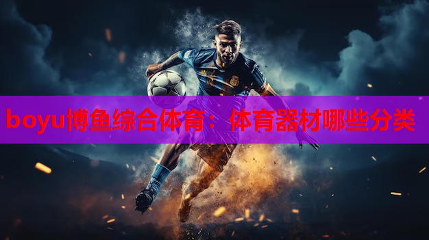 体育器材哪些分类