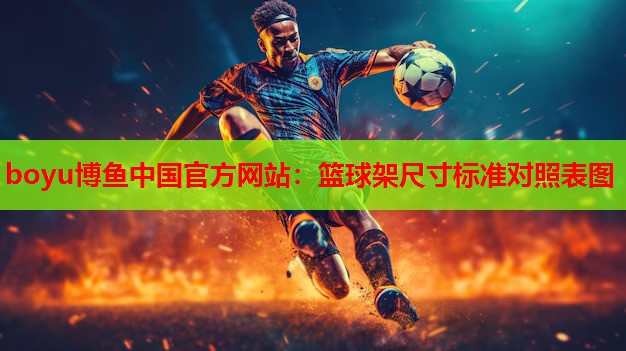 篮球架尺寸标准对照表图