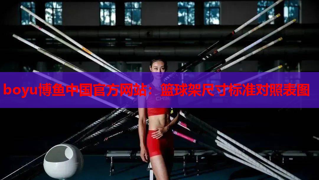 篮球架尺寸标准对照表图