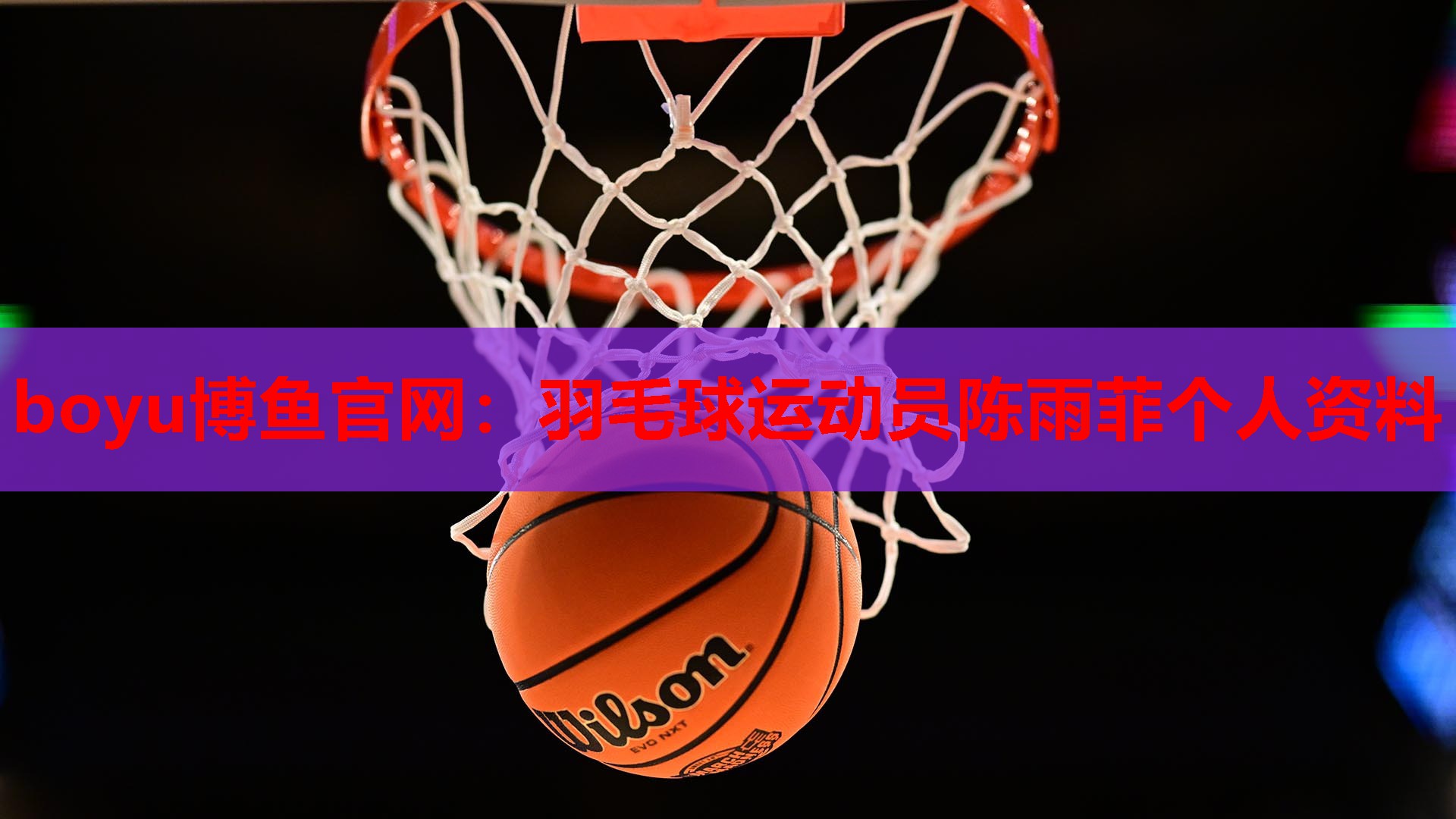羽毛球运动员陈雨菲个人资料