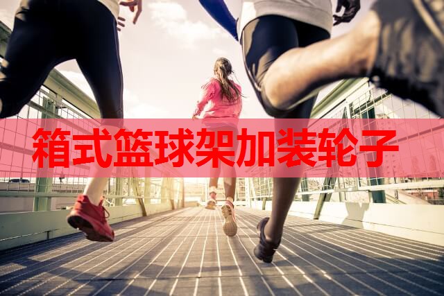 箱式篮球架加装轮子