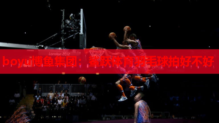 鲨跃体育羽毛球拍好不好