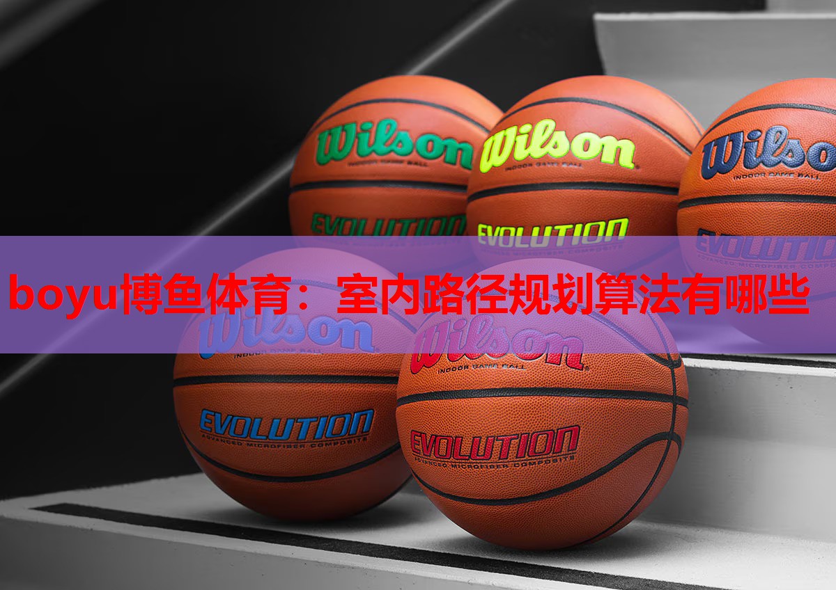 室内路径规划算法有哪些