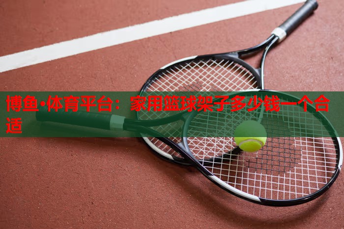 家用篮球架子多少钱一个合适