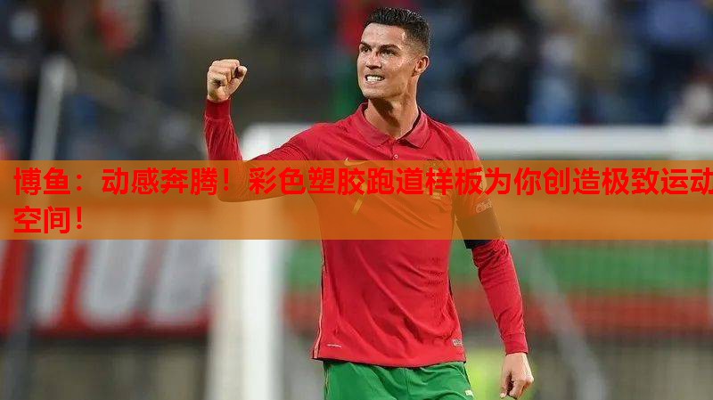 动感奔腾！彩色塑胶跑道样板为你创造极致运动空间！