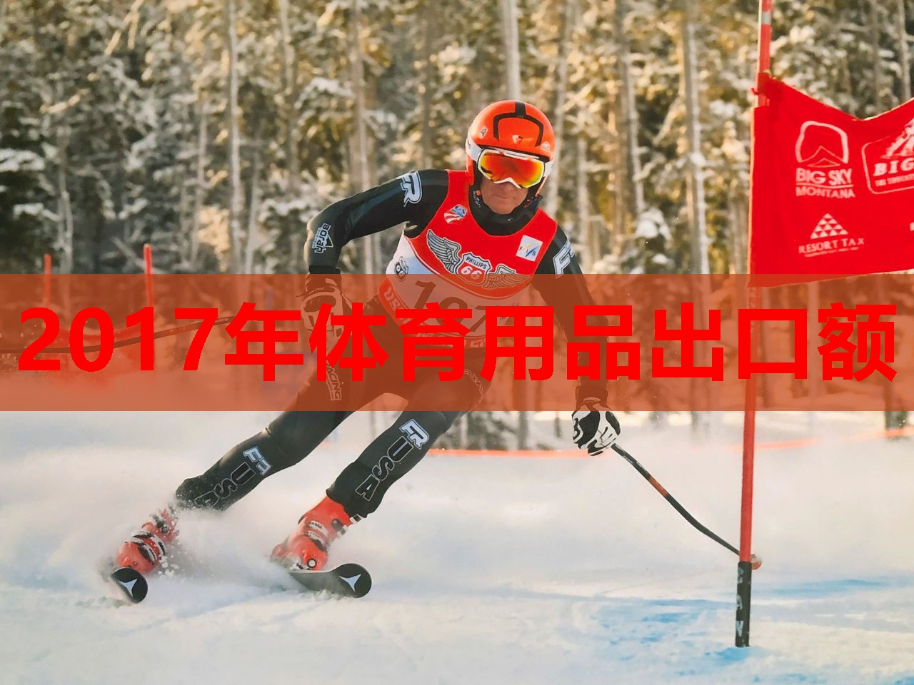 2017年体育用品出口额