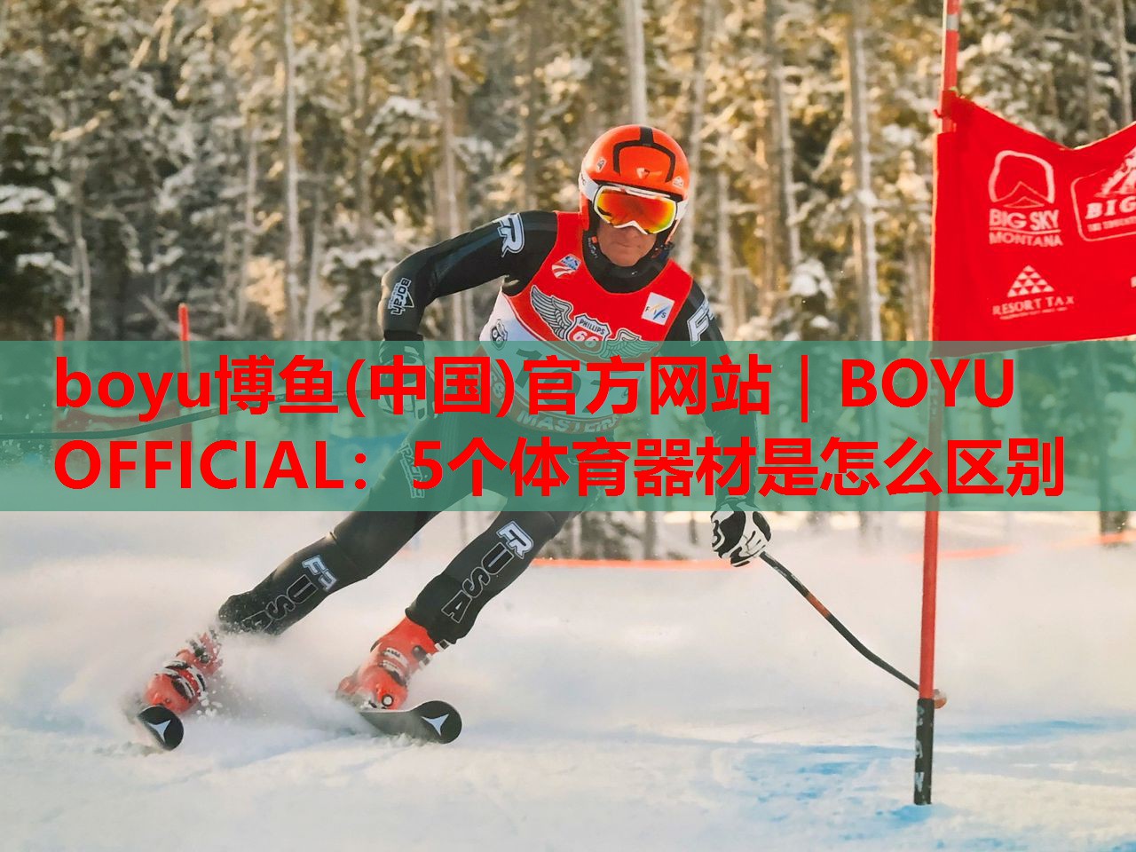 5个体育器材是怎么区别