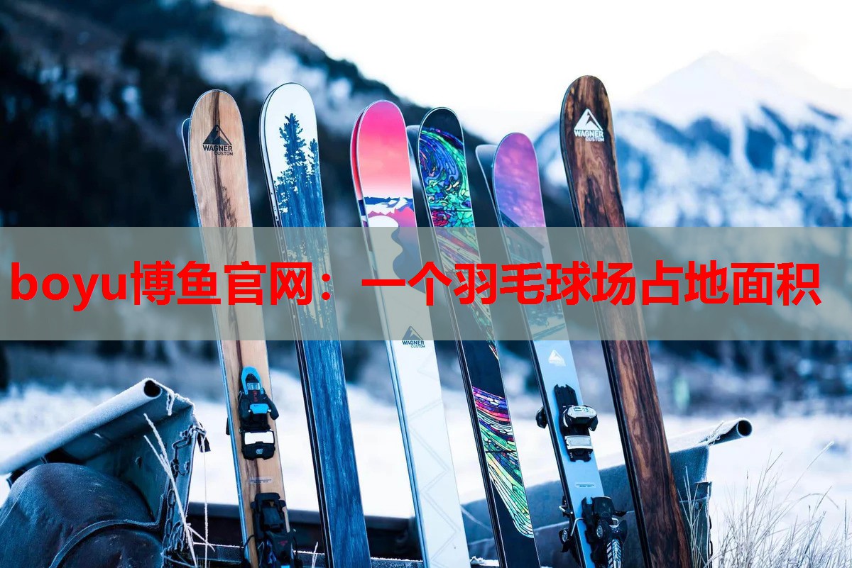 一个羽毛球场占地面积