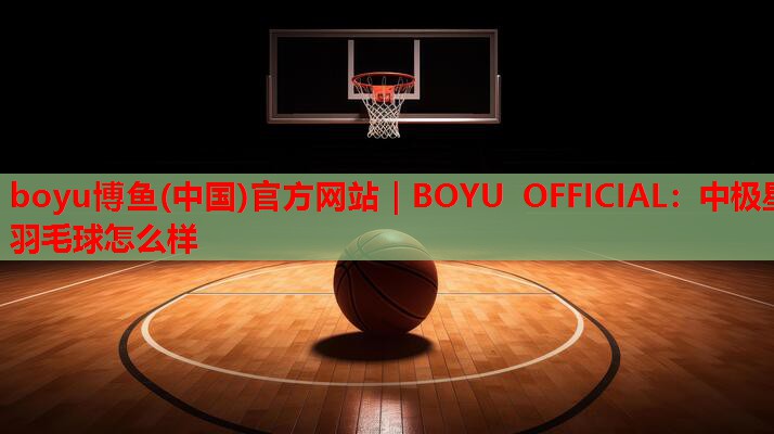 中极星羽毛球怎么样