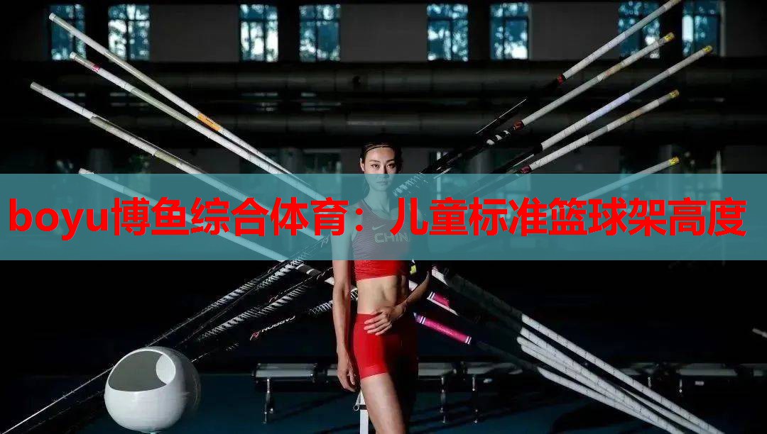 儿童标准篮球架高度