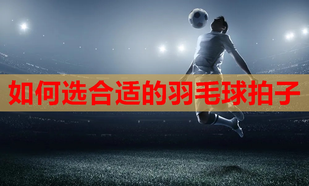 如何选合适的羽毛球拍子