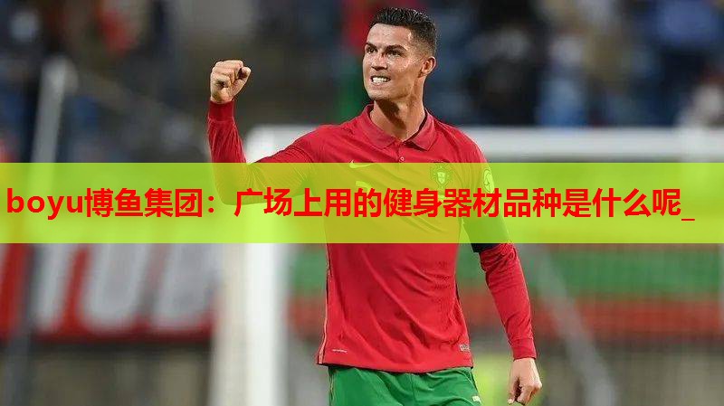 广场上用的健身器材品种是什么呢_