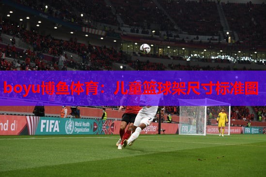 儿童篮球架尺寸标准图
