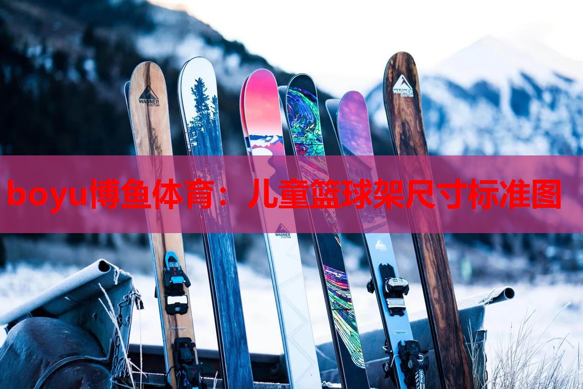 儿童篮球架尺寸标准图