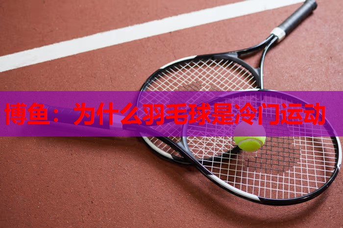为什么羽毛球是冷门运动