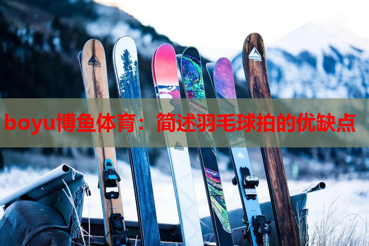 简述羽毛球拍的优缺点