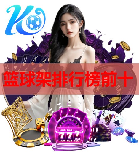 篮球架排行榜前十