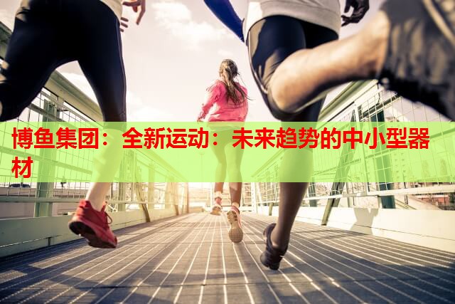 全新运动：未来趋势的中小型器材