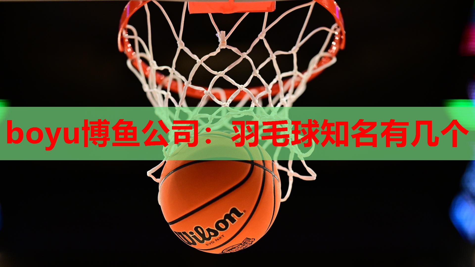 羽毛球知名有几个