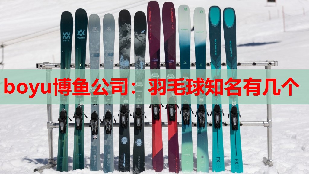 羽毛球知名有几个