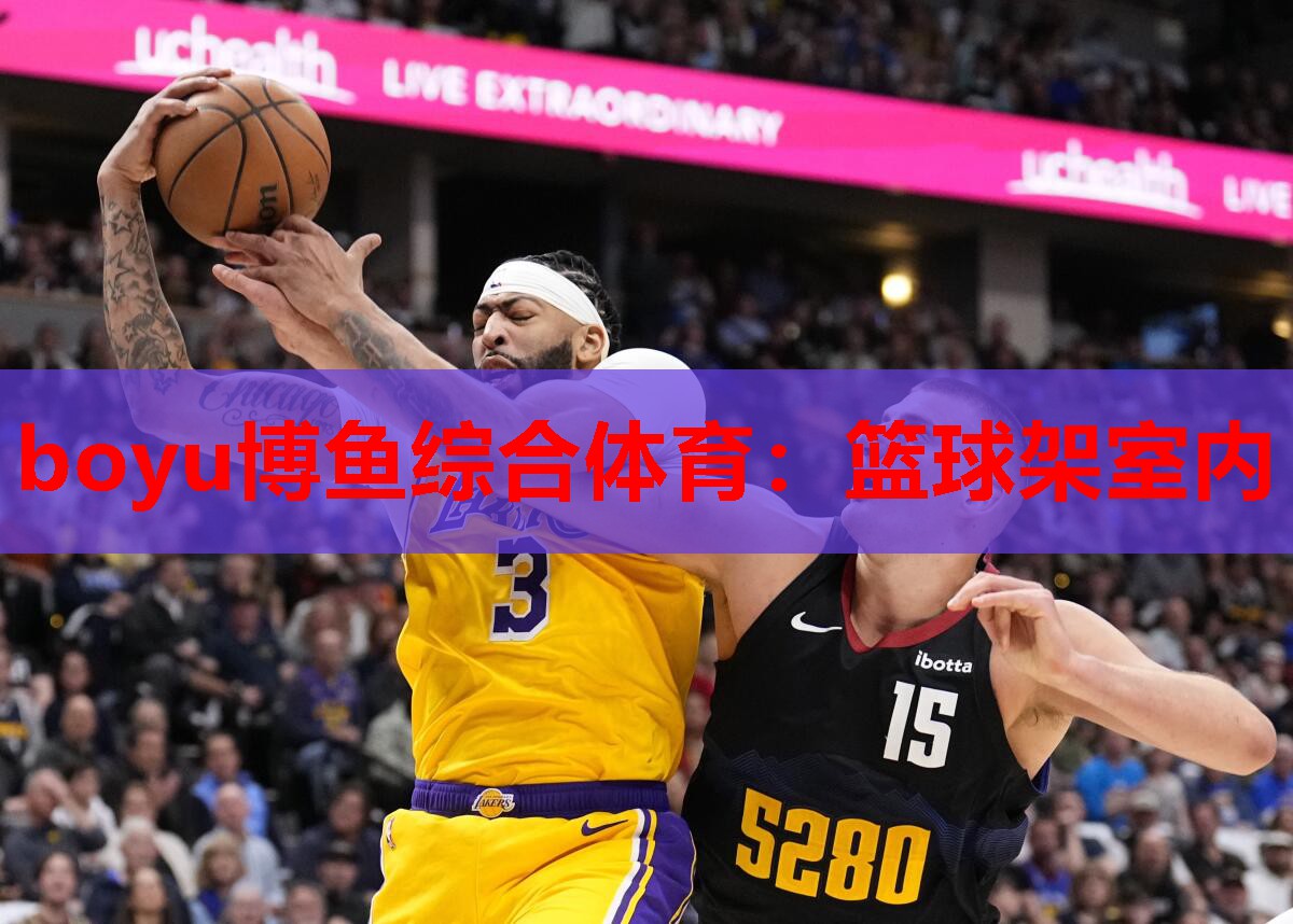 篮球架室内